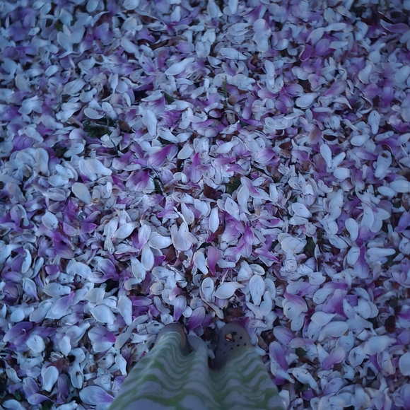 Meet your Posher, Sandra - Picture 7 of 9